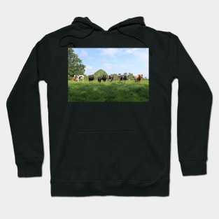 Cows in a Field Hoodie